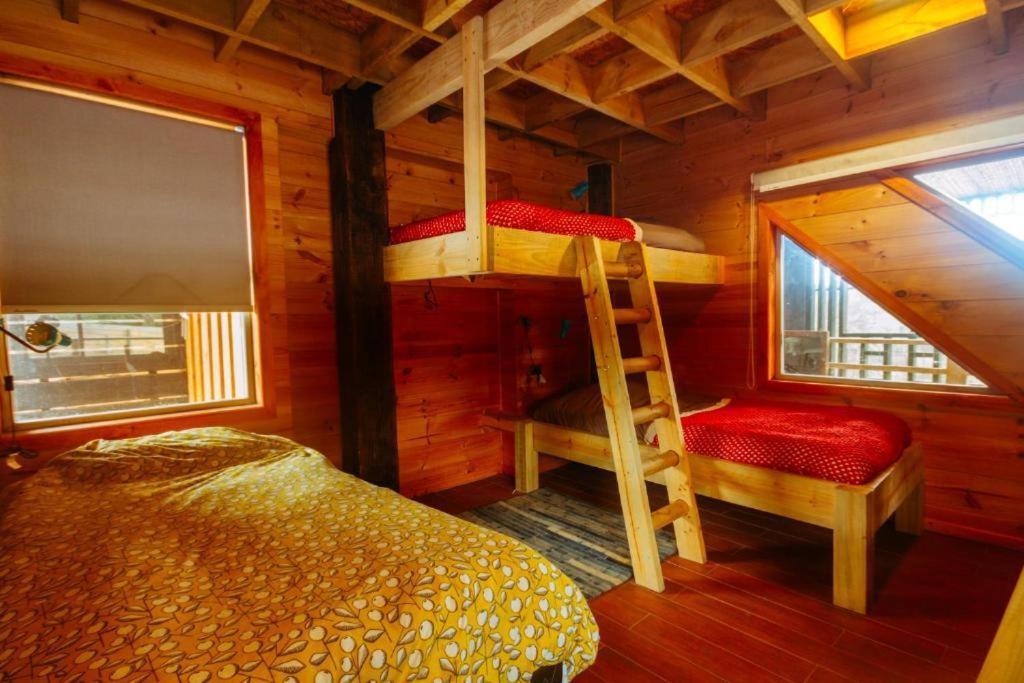 Sirena Insolente Hostel & Suites Pichilemu Exteriör bild