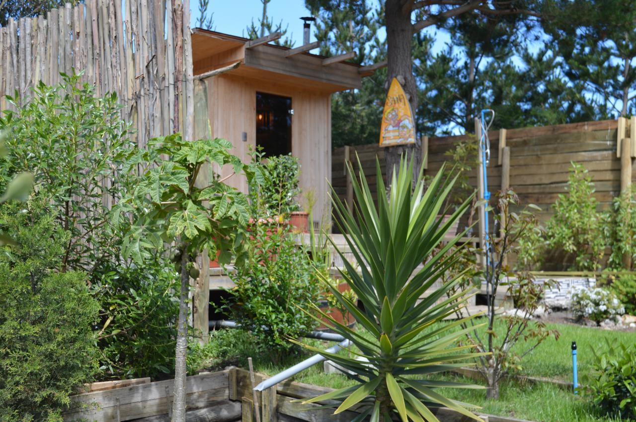 Sirena Insolente Hostel & Suites Pichilemu Exteriör bild